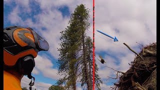 Pulling 4 Back Leaners (pt. 1)