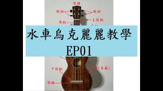 從0開始學烏克麗麗EP01~各部位介紹，持琴姿勢介紹~烏克麗麗教學