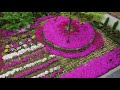 永代供養｜関西の樹木葬｜葬儀・納骨・永代供養までトータルサポート｜奈良県速成寺