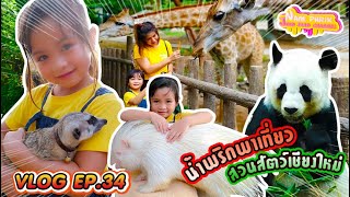 VLOG EP.34!! เที่ยวสวนสัตว์เชียงใหม่ นั่งรถชมสัตว์ที่ไนท์ซาฟารี