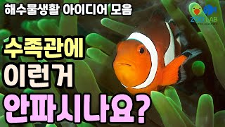 수족관에 이런거 안파나요? 해수 물생활 아이템, 물생활 하며 생각난 아이디어 모음, 니모 키우기, 해수어항 꾸미기