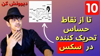 ۱۰ تا از حساس ترین نقاط تحریک در بدن حین سکس_ درمان بی میلی جنسی