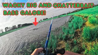 LOADED with ACTION!! Catching HUNGRY Pond Bass