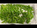 新鮮豆角保存方法 blanch and freeze long green purple beans