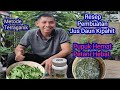 Learn Terraganic Farming: Kipahit Leaf Juice Recipe, Towards Low Cost Farming