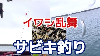 【チャンネルからのお知らせ】「暴風の中での釣り」 2023年7月1日　 千葉県南房総市某港