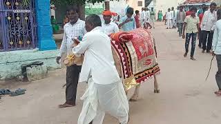 #జెట్టి కిష్టాపూర్ గ్రామంలో ఎడ్ల పొలాల అమావాస్య పండగ ఘనంగా  నిర్వహించారు#Hm9news  ప్రశ్నించే గొంతుక.