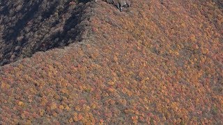 くじゅう連山で紅葉見ごろ　大分