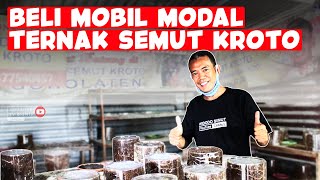 PERNAH KENA PHK, SEKARANG SUKSES BUDIDAYA SEMUT KROTO