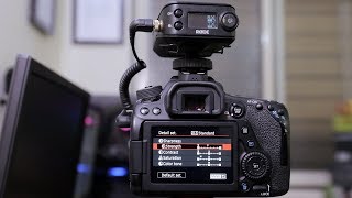 Best Video Recording Quality For Canon Picture Style Settings