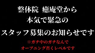 本気のスタッフ急募【検討してる方は概要欄も読む事】