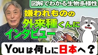 【図解】日本に外来種が入ってきたとんでもない理由