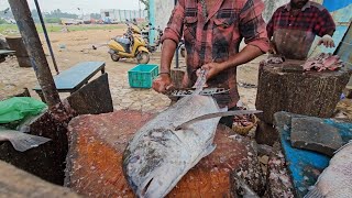 பெரிய பாறைமீனை வெட்டும் காட்சி நாகப்பட்டினம் /ROCKFISH CUTTING SCENE