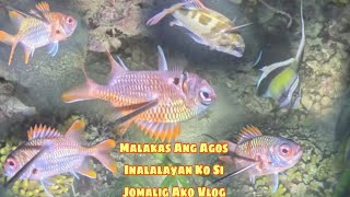 Episode 453 Malakas Ang Agos Inalalayan Ko Si Jomalig Ako Vlog Night Spearfishing Philippines