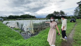 【農学部】松島憲一准教授 根本和洋助教（植物遺伝育種学研究室）2021オープンラボ動画