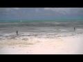 The tides of Zanzibar - one hour timelapse (Jambiani, Zanzibar - September 2012)