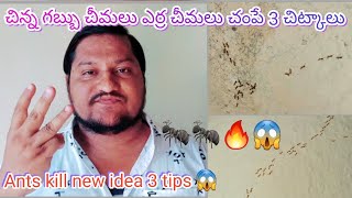 Ants problems easy solution all Ants kill liquid spray new ideas 3 tips Telugu 🐜🐜😱💯🔥👍