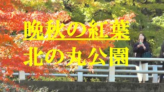 2024晩秋の紅葉　北の丸公園　2020.12.2