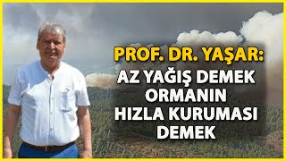 Prof. Dr. Yaşar: Kurak Geçen Kışın Ardından Orman Yangını Sayısı Ciddi Artıyor