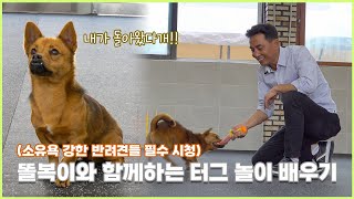 유기된 믹스견의 새아빠가 이찬종 소장이 되면 이렇게 됩니다