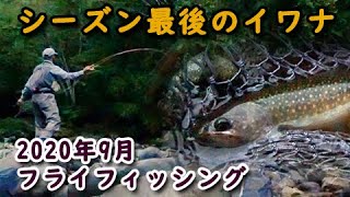 【シーズン最後のイワナ】2020年9月20日／最終日は、みなかみ・利根川支流でフライフィッシング