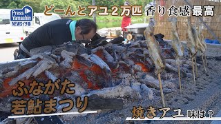 どーんとアユ２万匹、香り食感最高　舟形町・アユパークふながた