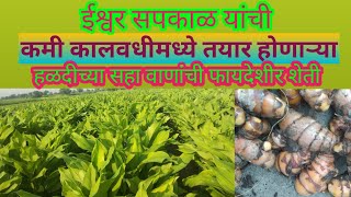 कमी कालावधीच्या सहा हळद वाणांची शेती#turmeric farming#Turmeric Varieties