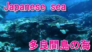 多良間島の海がきれいだったのでアップしました！！【Tarama Island OKINAWA in JAPAN】