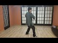 부산 진병 태극권 쌍추수 双推手 tai ji  push hands ＃태극권 양생법 건강 호신술 명상 부산