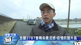 20170212中天新聞　宜蘭3787隻鴨染禽流感！疫情防護升高