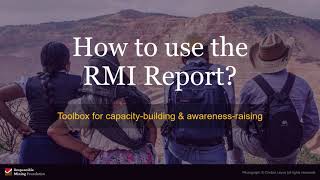 How to use the RMI Report 2022? (user guide/tutorial)