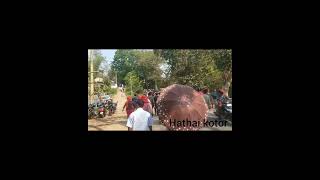 Hathai kotoro tini thang mani##video