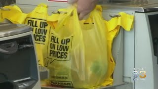 New Jersey State Senate Considers Bill On Banning Disposable Bags