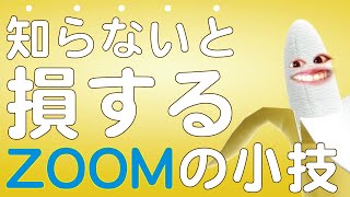 【ZOOM歴２年のコーチが解説】オンライン授業で使えるZOOMの裏技5選（設定、機材）