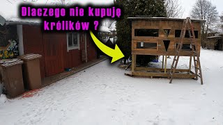 Vlog 59 - Czy kaczki przetrwały -22 :O ??? Dlaczego nie kupuję królików ?