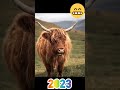 2023 yak vs 5000 bce yak short shorts shortvideo shortfeed