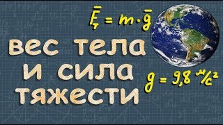 СИЛА ТЯЖЕСТИ масса ВЕС ТЕЛА 7 класс физика Перышкин