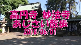 高円寺妙法寺あじさい散歩 Hydrangea TOKYO 2018/06/01