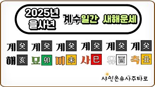 [2025년 을사년운세] 계수일간 및 일주별운세, 2025년 신년운세, 계해일주, 계묘일주, 계미일주, 계사일주, 계유일주, 계축일주