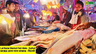 Lal Bazar Market Fish Mela - Sylhet 2023 মাছের মেলা লাল বাজার - সিলেট ২০২৩