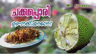 ഒരു അടിപൊളി ചക്ക വിഭവം🥙Adipoli Chakka Vibavam