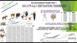 《DNA親子鑒定真實案例分析》（3）爲什麽相同基因組才能做親子鑒定？