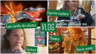 Vlog : Bonne année, pièce de théâtre, expo lumineuse du jardin des plantes et figurine mystère !