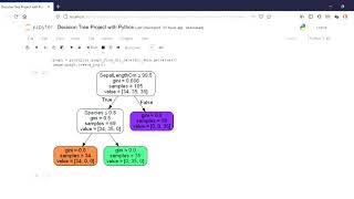 Decision Tree Project with Python Jupyter Notebook
