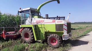 CLAAS JAGUAR 695 Mega + FENDT 818, 716 & DAF 95.480 | PELLIZZARI