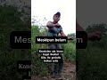 konsisten aja terus shortvideo