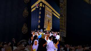 Most Beautiful Masjid Al Haram Live 🕋 ❤️ Sajid Raza । #shorts #sajid_raza #trending #youtubeshorts