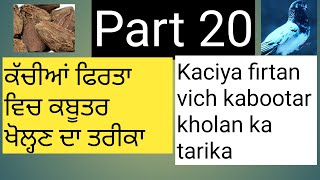 ਆੳ ਕਬੂਤਰ ਬਾਜੀ ਸਿੱਖੀਏ Part 20 ਕਬੂਤਰ ਖੋਲ੍ਹਣ ਦਾ ਤਰੀਕਾ pigeon training school kabootar kholane ka tarika