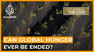 Can we ever put an end to global hunger? | Counting the Cost