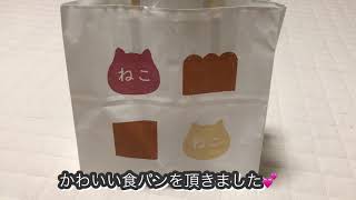 【かわいい】猫好きにはたまらない✨ねこねこ食パン☺️✨